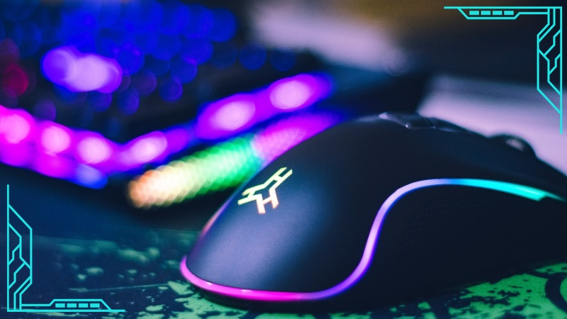 就職実績とカリキュラム