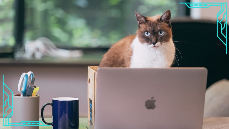 有名校のチェックポイント