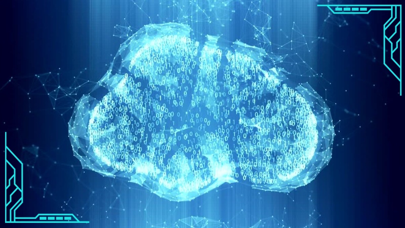 就職実績を確認するポイント