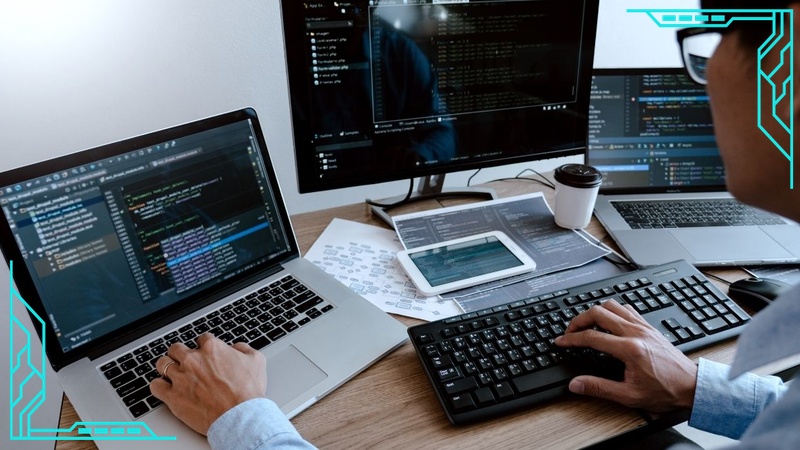 学費と就職実績